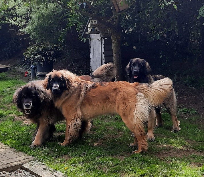 Helmine mit Ihren EnkelinnenHP